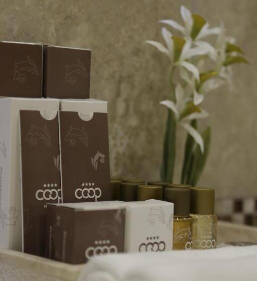 חדר דלוקס יחיד, Coop  Sofia