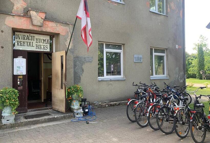 اتاق استاندارد, Artless