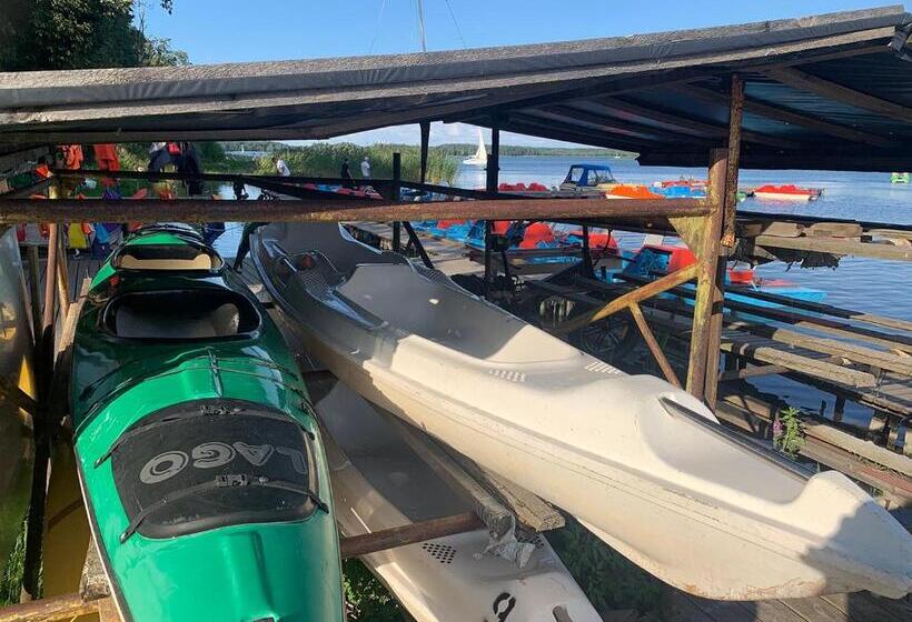 اتاق استاندارد, Artless