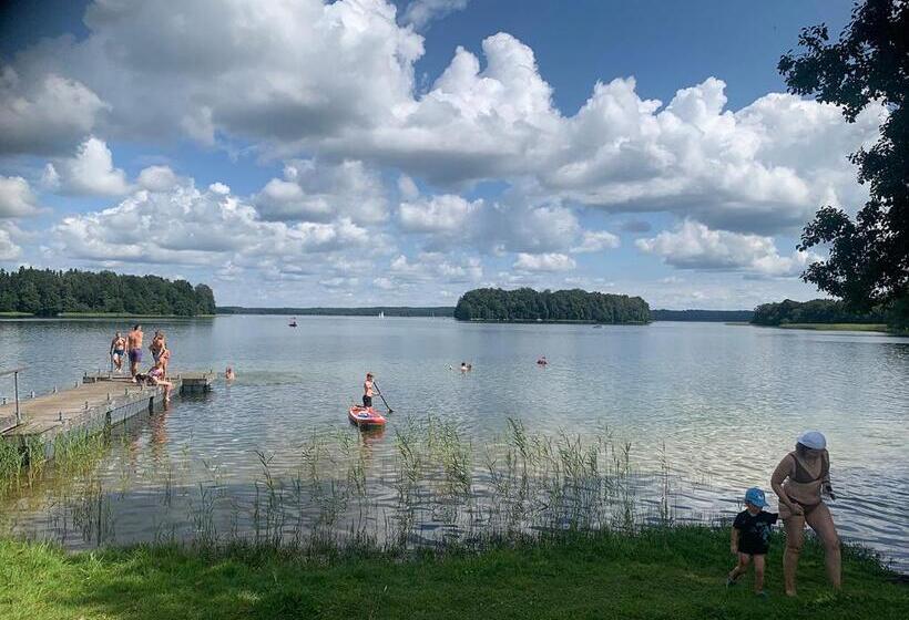 اتاق استاندارد, Artless