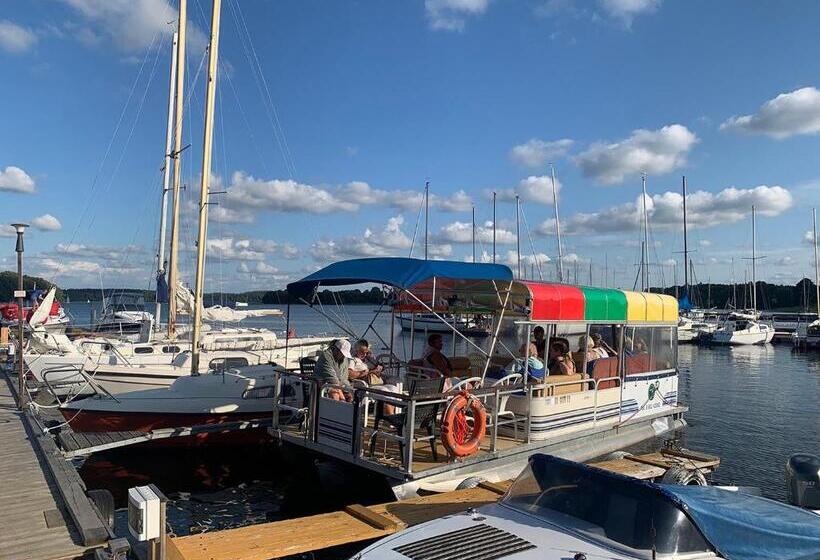 اتاق اکونومی, Artless