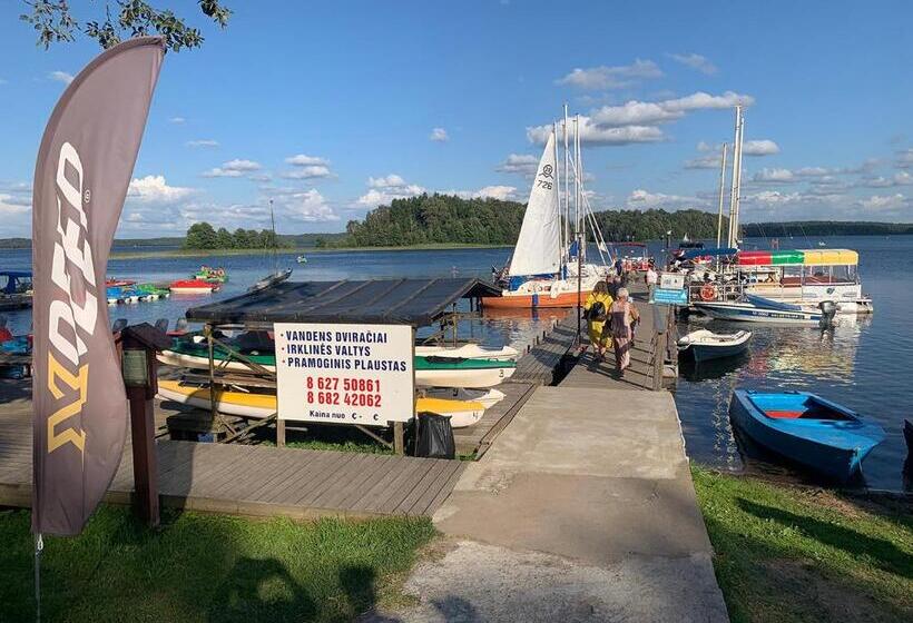 اتاق اکونومی, Artless