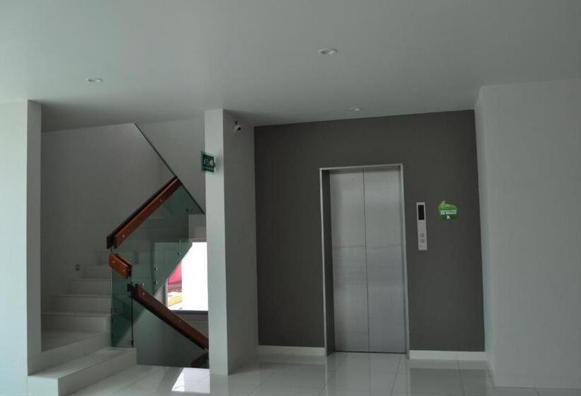 חדר דלוקס יחיד, Amd