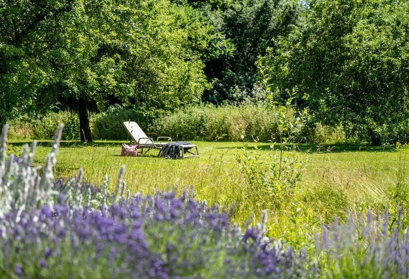 Camera Deluxe Singola, Frechdachs