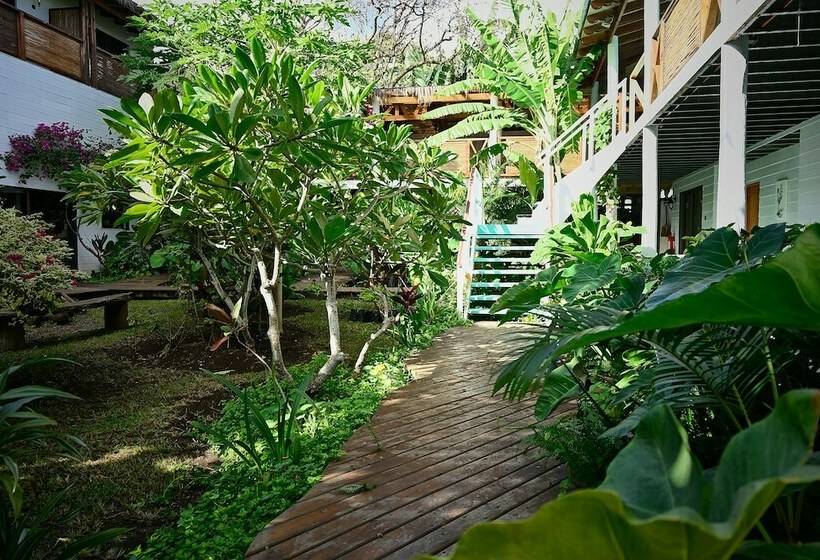 غرفة سوبيريور, Hare Nua Hotel Boutique