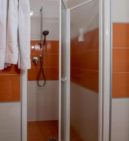 Standardzimmer, Parigi