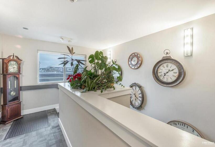 豪华房间, Queens