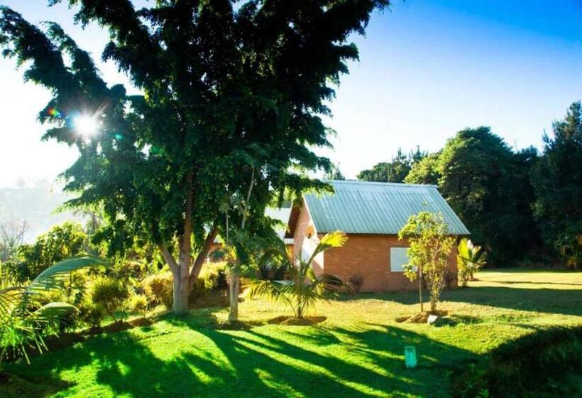 استودیو استاندارد با چشمانداز باغ, Riviera Garden