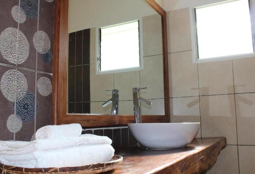 استودیو استاندارد با چشمانداز باغ, Riviera Garden