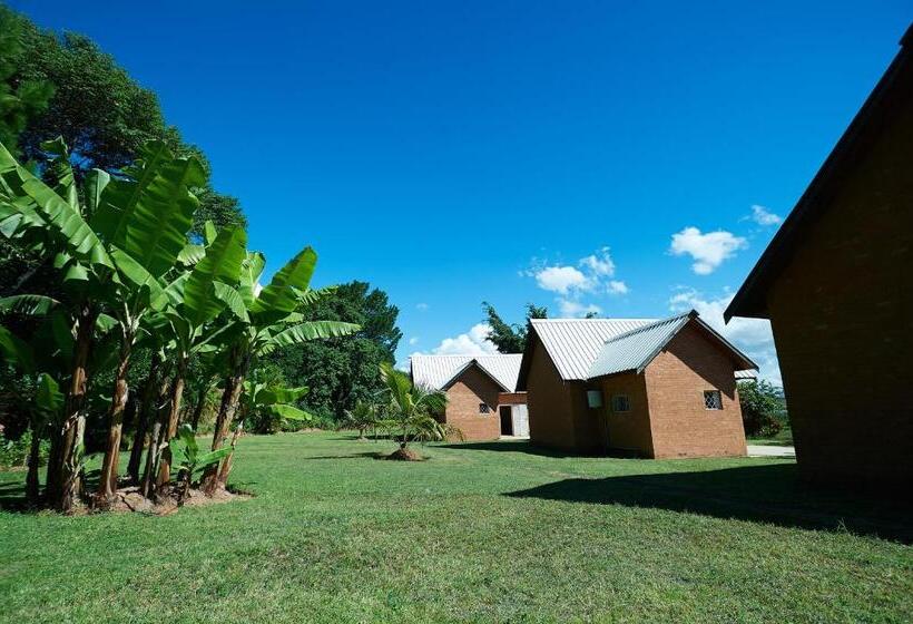 استودیو استاندارد با چشمانداز باغ, Riviera Garden