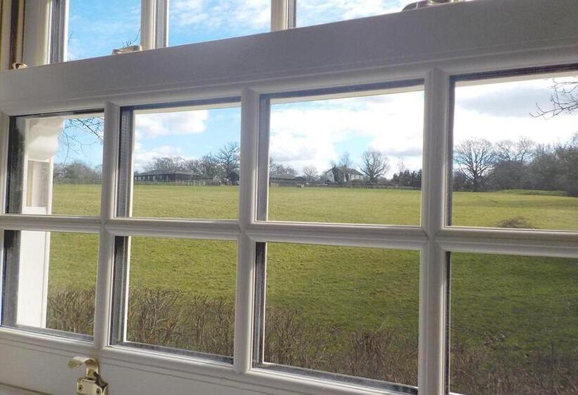 غرفة قياسية سرير كينج, The Greyhound Inn