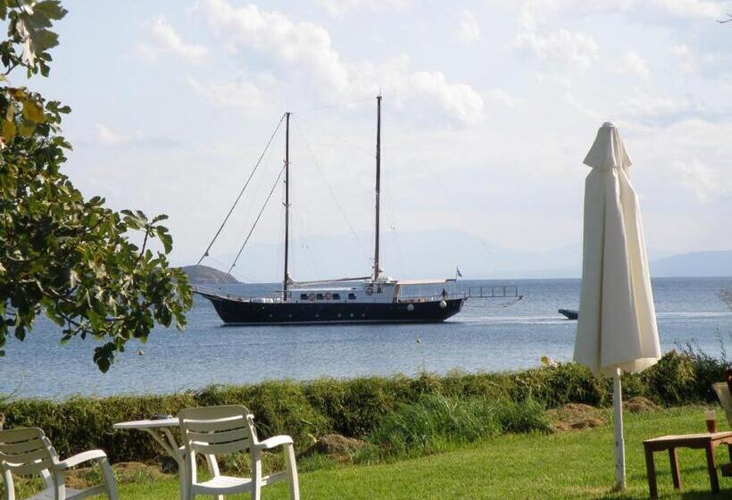 标准间, Angeliki Beach