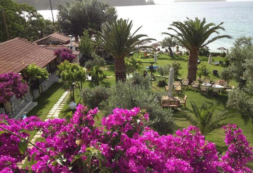 带海景的标准工作室, Angeliki Beach