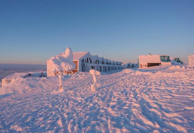 景色の見えるスイートルーム, Star Arctic