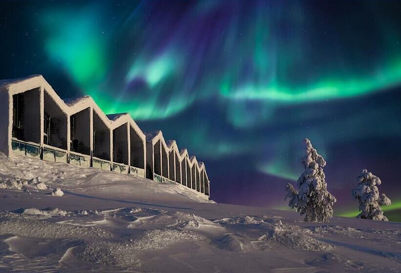 Люкс с Видом, Star Arctic