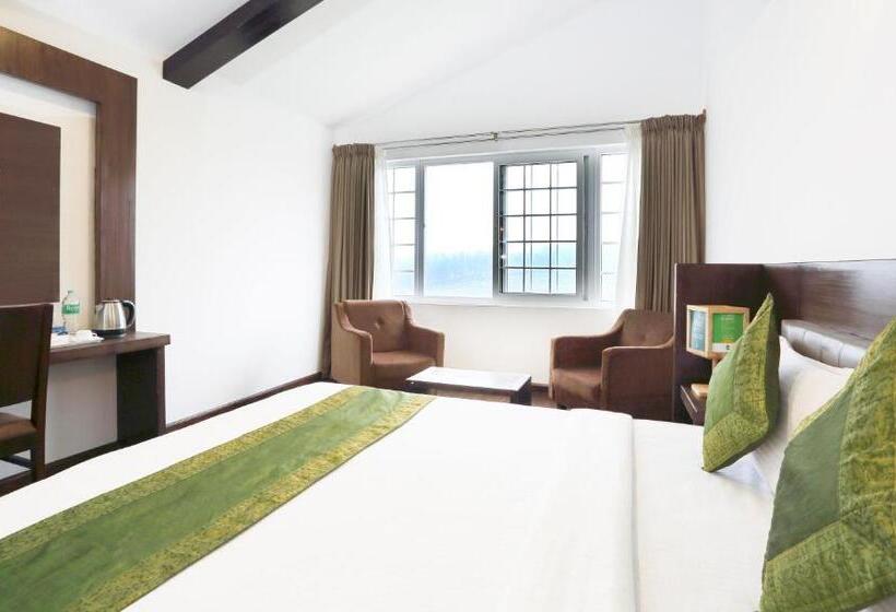 Номер Стандарт, Treebo Skydale Inn & Suites With Mountain View