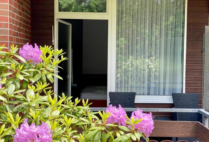 스탠다드 룸, Adamidis