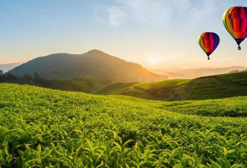 Номер Deluxe, Sunshine Resort & Spa Sigiriya