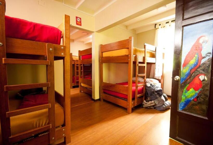 سرير فى غرفة مشتركه, Pariwana Hostel Lima