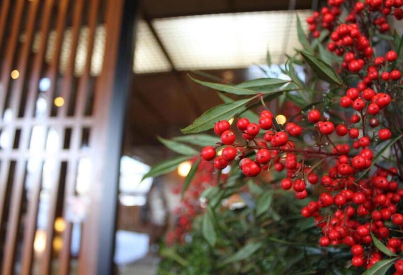 스탠다드 테라스 룸, Hanaichi