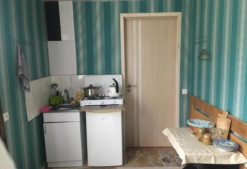 اتاق استاندارد یک نفره, Apartment Zaziashvili 30