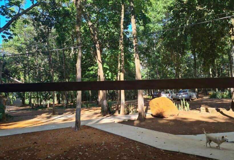 Четырехместный Номер Стандарт с Балконом, Bosque São Francisco