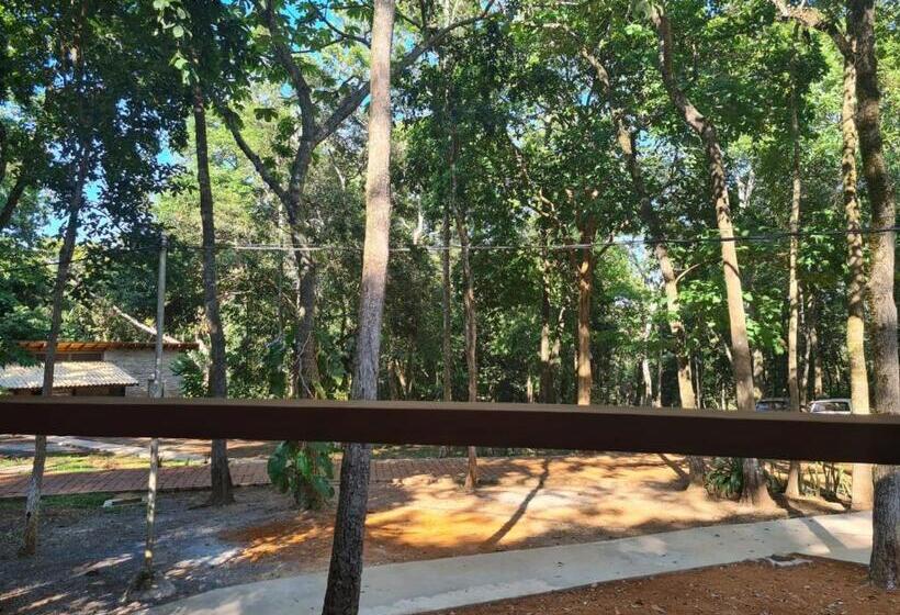 غرفة بريميوم رباعية, Bosque São Francisco