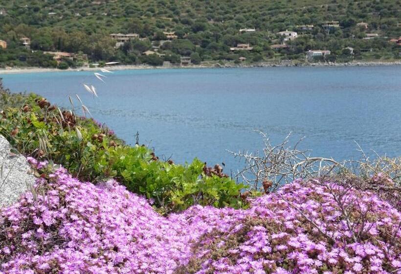 חדר סטנדרט, Casa Daniela