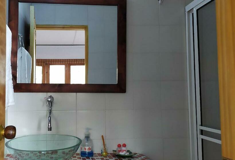 标准间, Zocalo Campestre