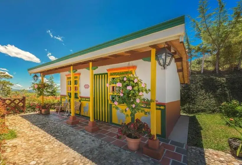 スタンダードバンガロー, Zocalo Campestre