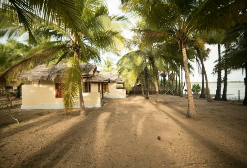 חדר סטנדרט, Anawasal