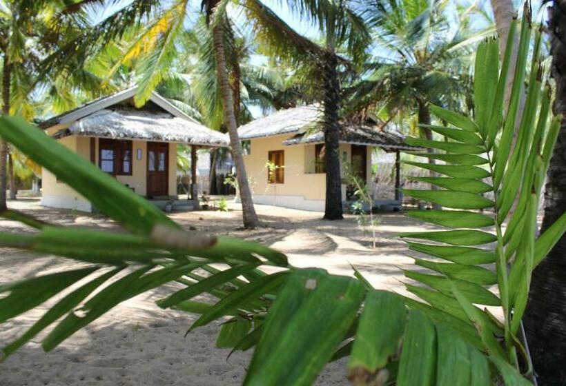 חדר סטנדרט, Anawasal