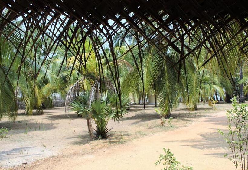 חדר משפחתי, Anawasal