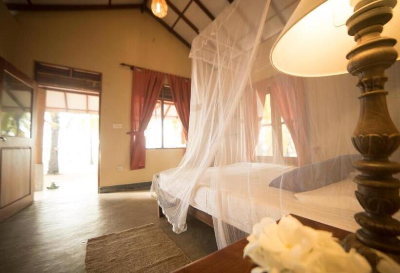 חדר סטנדרט, Anawasal