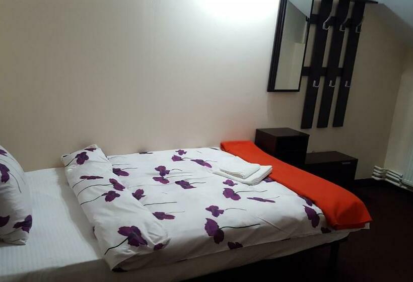 חדר סטנדרט יחיד, Pensiunea Hanami