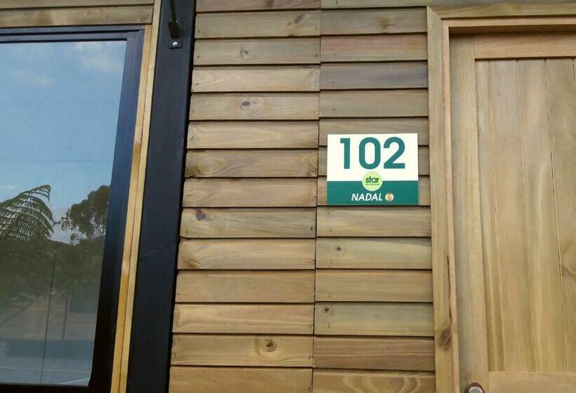 غرفة قياسية, Star Center Hotel Boutique, Centro De Entrenamiento Deportivo Y Conveniencias A Dos Pasos Del Aeropu