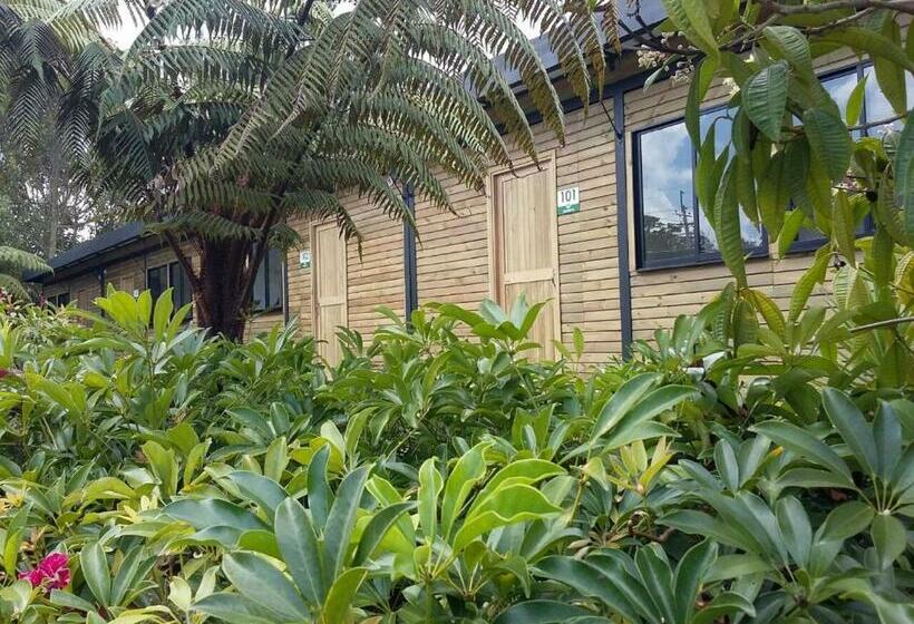 غرفة قياسية, Star Center Hotel Boutique, Centro De Entrenamiento Deportivo Y Conveniencias A Dos Pasos Del Aeropu