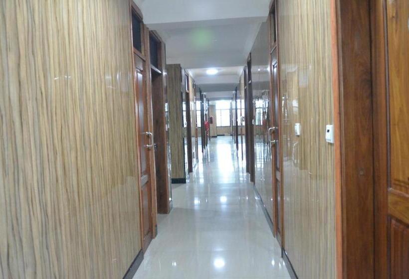 سوییت اجرایی, Nefaland