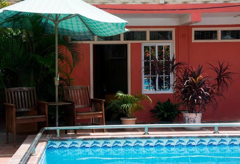 اتاق استاندارد یک نفره, Windjammer International Cuisine & Comfort Inn