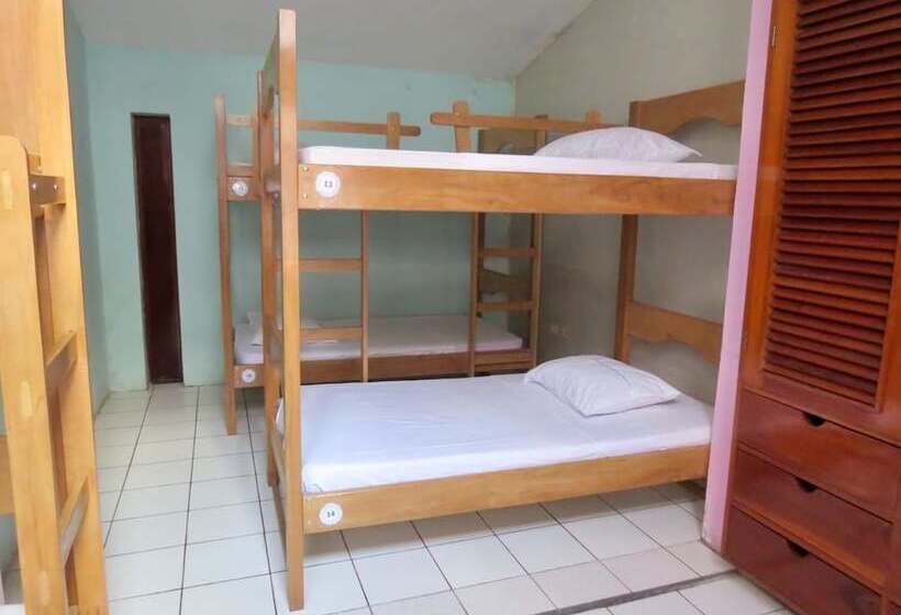 공동 객실, Amazonas Green Hostel