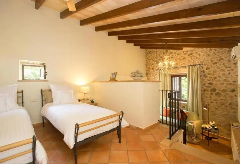 テラス付きジュニアスイート, Casa Font I Roig