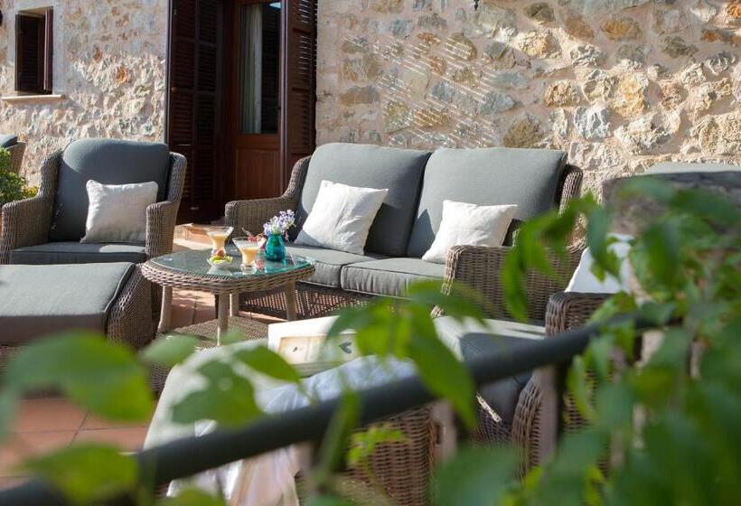 Полулюкс Одноместный с Террасой, Casa Font I Roig