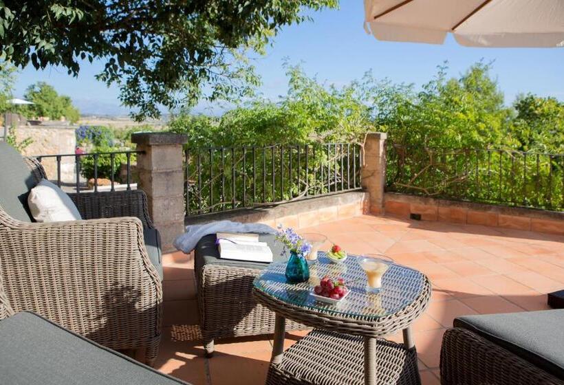 Полулюкс Одноместный с Террасой, Casa Font I Roig