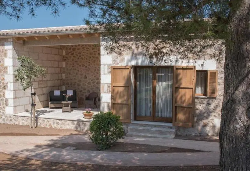 デラックススイート, Casa Font I Roig