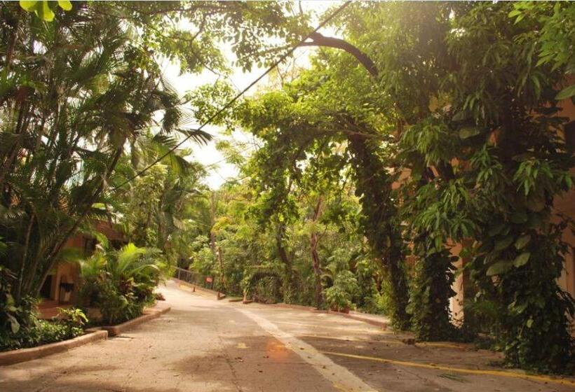 اتاق استاندارد, La Hacienda