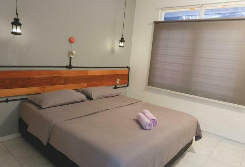 标准间, Buton Backpacker Lodge