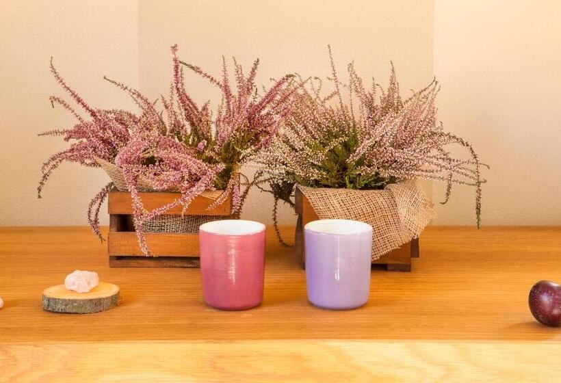 غرفة ديلوكس عائلية, Hemanaire