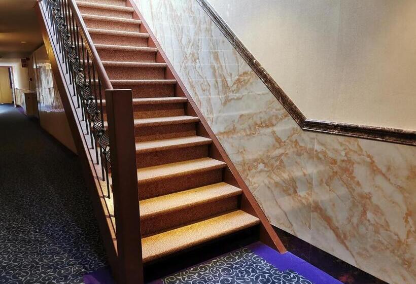 חדר דופלקס, Chasse