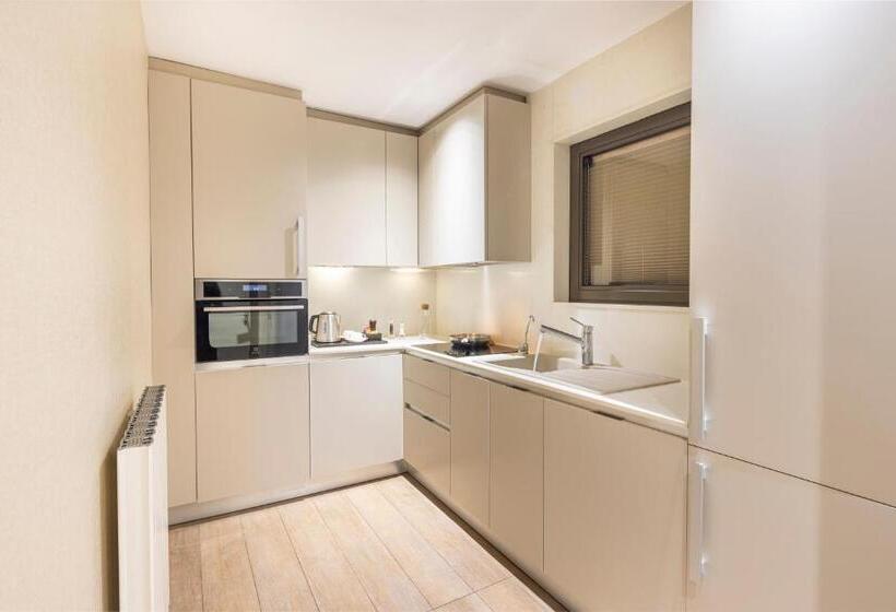 اتاق استاندارد با چشم‌انداز باغ, Tzl Suites Hotel Nişantaşı
