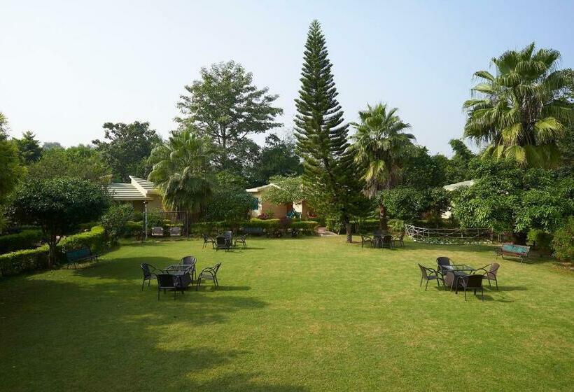 חדר דלוקס, Acorn Hideaway Resort & Spa